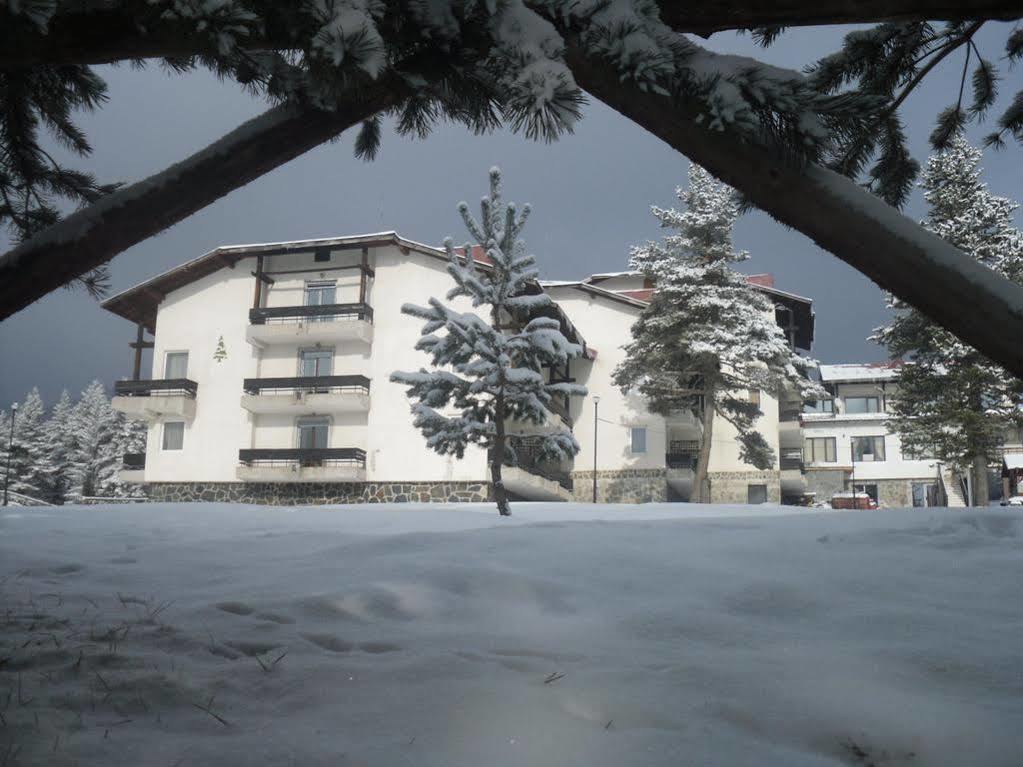 Bor Hotel Belitsa (Blagoevgrad) Bagian luar foto