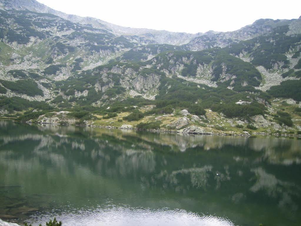 Bor Hotel Belitsa (Blagoevgrad) Bagian luar foto