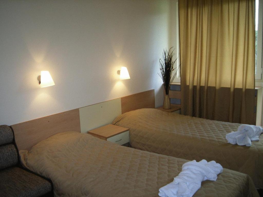 Bor Hotel Belitsa (Blagoevgrad) Bagian luar foto