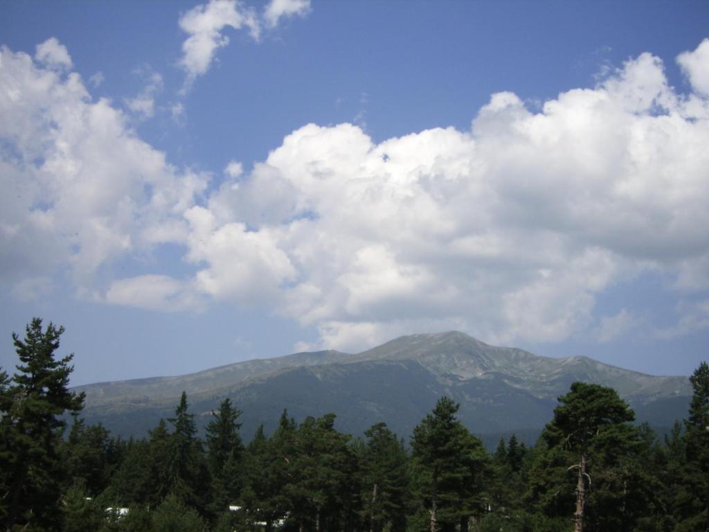 Bor Hotel Belitsa (Blagoevgrad) Ruang foto