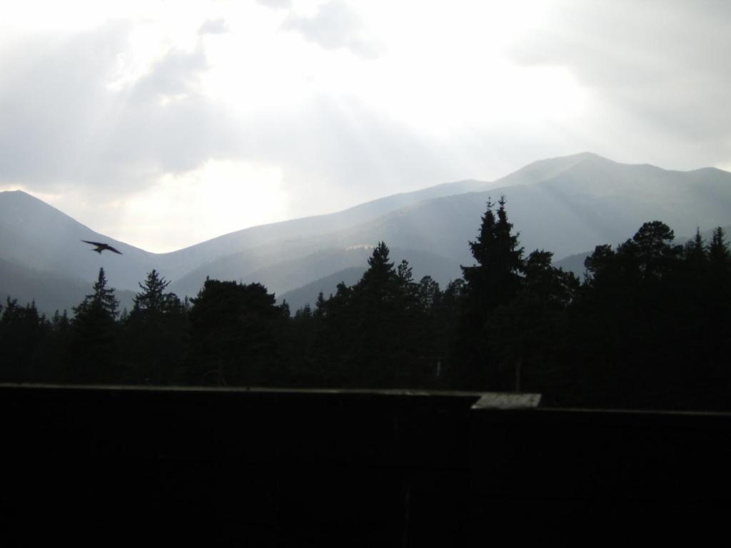 Bor Hotel Belitsa (Blagoevgrad) Ruang foto